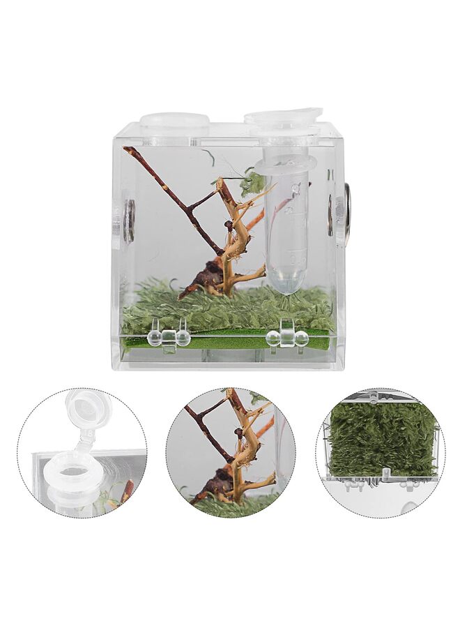 يُسلِّم حوض عناكب، صندوق تربية الزواحف، قفص عناكب قافزة، قفص صراصير، موطن عناكب الرتيلاء الشجرية (الحجم: متوسط) - Image 3